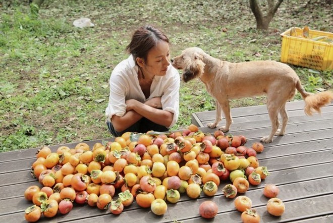Lee Hyori: 'Nữ hoàng Kpop' từ bỏ danh vọng, tiền bạc về quê sống cuộc đời triệu người mơ ước - 13 Lee Hyori: 'Nữ hoàng Kpop' từ bỏ danh vọng, tiền bạc về quê sống cuộc đời triệu người mơ ước - 13