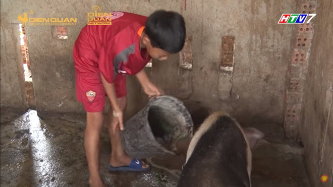 'Trùm' công ty Điền Quân lộ diện, tuyên bố kết thúc 'Hát mãi ước mơ' vì không đủ tiền, Trấn Thành hụt hẫng - 2 'Trùm' công ty Điền Quân lộ diện, tuyên bố kết thúc 'Hát mãi ước mơ' vì không đủ tiền, Trấn Thành hụt hẫng - 2