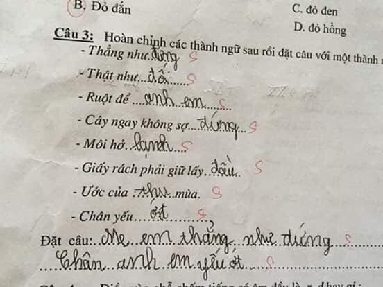 Bài kiểm tra thành ngữ của học sinh cấp một: 'Cây ngay không sợ… cọp', 'môi hở hàm ếch' - 1 Bài kiểm tra thành ngữ của học sinh cấp một: 'Cây ngay không sợ… cọp', 'môi hở hàm ếch' - 1