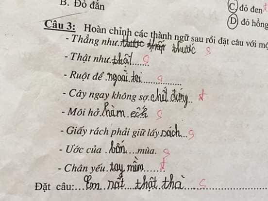 Bài kiểm tra thành ngữ của học sinh cấp một: 'Cây ngay không sợ… cọp', 'môi hở hàm ếch' - 2 Bài kiểm tra thành ngữ của học sinh cấp một: 'Cây ngay không sợ… cọp', 'môi hở hàm ếch' - 2