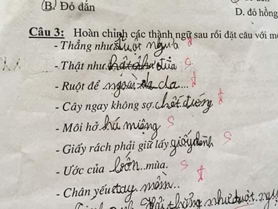 Bài kiểm tra thành ngữ của học sinh cấp một: 'Cây ngay không sợ… cọp', 'môi hở hàm ếch' - 3 Bài kiểm tra thành ngữ của học sinh cấp một: 'Cây ngay không sợ… cọp', 'môi hở hàm ếch' - 3