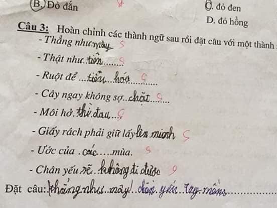 Bài kiểm tra thành ngữ của học sinh cấp một: 'Cây ngay không sợ… cọp', 'môi hở hàm ếch' - 4 Bài kiểm tra thành ngữ của học sinh cấp một: 'Cây ngay không sợ… cọp', 'môi hở hàm ếch' - 4