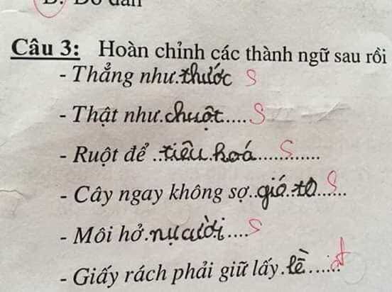 Bài kiểm tra thành ngữ của học sinh cấp một: 'Cây ngay không sợ… cọp', 'môi hở hàm ếch' - 5 Bài kiểm tra thành ngữ của học sinh cấp một: 'Cây ngay không sợ… cọp', 'môi hở hàm ếch' - 5