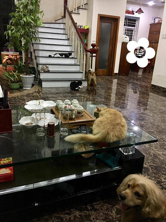 Khối tài sản khủng của dàn mỹ nhân Vbiz tuổi 30: Toàn nhà lầu, xế sang, choáng nhất Ngọc Trinh chi tiền tỷ như cơm bữa - 18 Khối tài sản khủng của dàn mỹ nhân Vbiz tuổi 30: Toàn nhà lầu, xế sang, choáng nhất Ngọc Trinh chi tiền tỷ như cơm bữa - 18