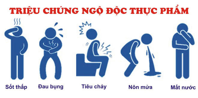 Bé gái 7 tuổi bị ngộ độc vì ăn nhầm mật cá: Cha mẹ cần chú ý 3 bước để cứu con Bé gái 7 tuổi bị ngộ độc vì ăn nhầm mật cá: Cha mẹ cần chú ý 3 bước để cứu con