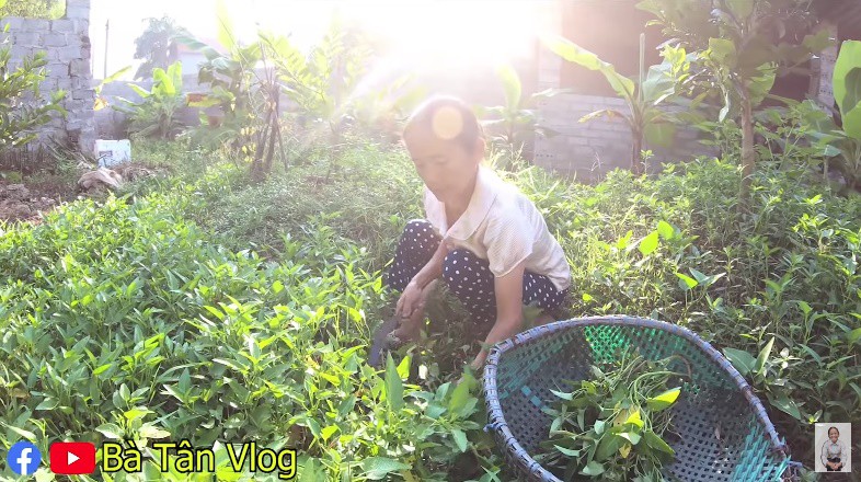 Giữa lùm xùm bị tố này tố kia, Bà Tân Vlog bất ngờ được dân mạng 'bênh chằm chặp' vì tìm lại được đoạn clip này - 4 Giữa lùm xùm bị tố này tố kia, Bà Tân Vlog bất ngờ được dân mạng 'bênh chằm chặp' vì tìm lại được đoạn clip này - 4