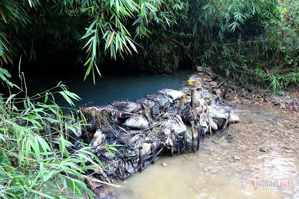 Mùi khủng khiếp ở đồi Mông, nơi xả thải xuống nhà máy nước sông Đà - 19 Mùi khủng khiếp ở đồi Mông, nơi xả thải xuống nhà máy nước sông Đà - 19