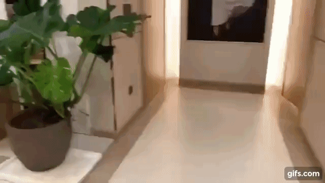 Trấn Thành thăm nhà của Hoa hậu Thu Hoài, choáng váng vì bộ sưu tập đồ hiệu vài chục tỷ Trấn Thành thăm nhà của Hoa hậu Thu Hoài, choáng váng vì bộ sưu tập đồ hiệu vài chục tỷ