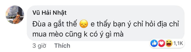 Gái inbox hỏi mua mèo ở đâu, thanh niên rep: 'Bạn nói xem vì sao mình phải trả lời bạn?' liền bị 16k người phẫn nộ trên Facebook - 3 Gái inbox hỏi mua mèo ở đâu, thanh niên rep: 'Bạn nói xem vì sao mình phải trả lời bạn?' liền bị 16k người phẫn nộ trên Facebook - 3