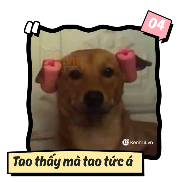 Những câu nói viral nhất trên MXH nửa cuối năm 2019: 'Nói xem vì sao mình phải trả lời bạn' sinh sau đẻ muộn nhưng độ hot thì siêu cấp! - 3 Những câu nói viral nhất trên MXH nửa cuối năm 2019: 'Nói xem vì sao mình phải trả lời bạn' sinh sau đẻ muộn nhưng độ hot thì siêu cấp! - 3