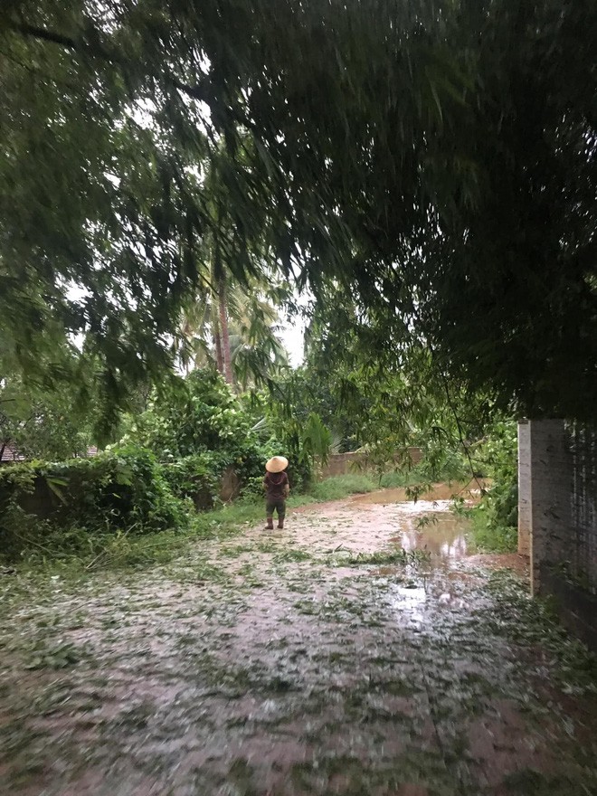 'Dở khóc dở cười' rạp cưới bị mưa bão quật đổ tan hoang trước ngày rước dâu - 2 'Dở khóc dở cười' rạp cưới bị mưa bão quật đổ tan hoang trước ngày rước dâu - 2