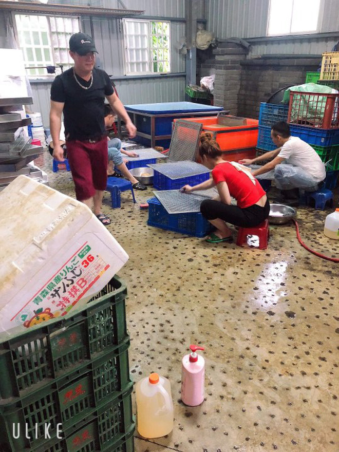 Đằng sau những căn nhà bạc tỷ ở 'làng xuất khẩu lao động' Hà Tĩnh: Nước mắt, trốn chạy, và những phận người nằm lại nơi xứ xa - 10 Đằng sau những căn nhà bạc tỷ ở 'làng xuất khẩu lao động' Hà Tĩnh: Nước mắt, trốn chạy, và những phận người nằm lại nơi xứ xa - 10