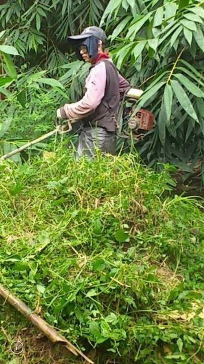 Đằng sau những căn nhà bạc tỷ ở 'làng xuất khẩu lao động' Hà Tĩnh: Nước mắt, trốn chạy, và những phận người nằm lại nơi xứ xa - 11 Đằng sau những căn nhà bạc tỷ ở 'làng xuất khẩu lao động' Hà Tĩnh: Nước mắt, trốn chạy, và những phận người nằm lại nơi xứ xa - 11