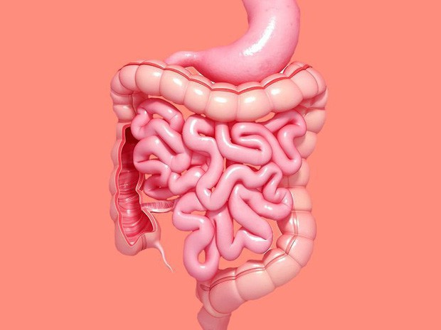 7 triệu chứng sớm của bệnh ung thư mà có tới 90% mọi người thường chủ quan bỏ qua 7 triệu chứng sớm của bệnh ung thư mà có tới 90% mọi người thường chủ quan bỏ qua