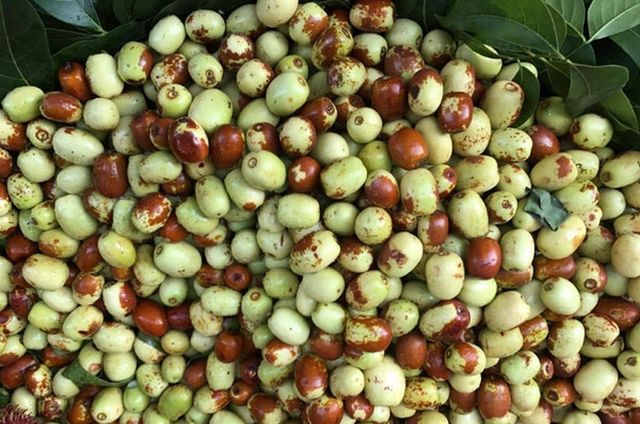 7 loại thực phẩm vàng cho nam giới khỏe mạnh, cường tráng - 6 7 loại thực phẩm vàng cho nam giới khỏe mạnh, cường tráng - 6