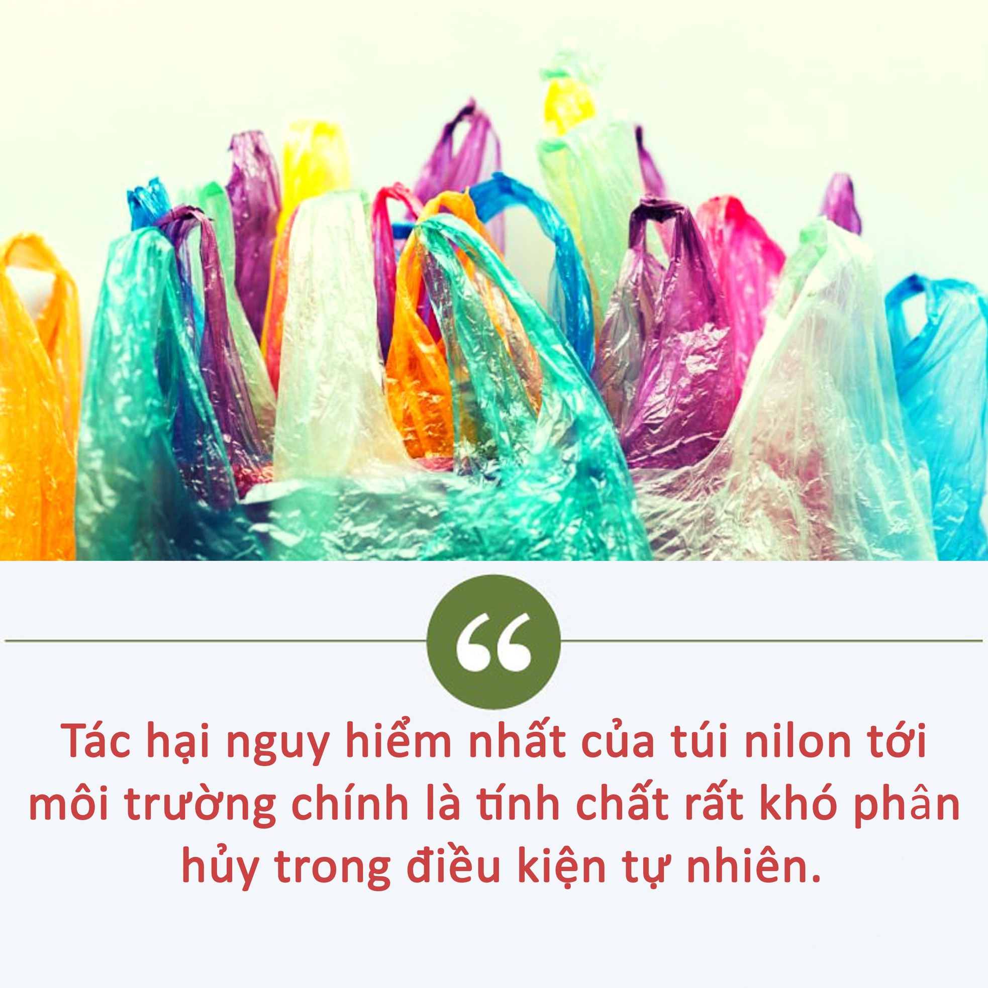 Đồ nhựa - kẻ thù không đội trời chung với sức khỏe - 4 Đồ nhựa - kẻ thù không đội trời chung với sức khỏe - 4