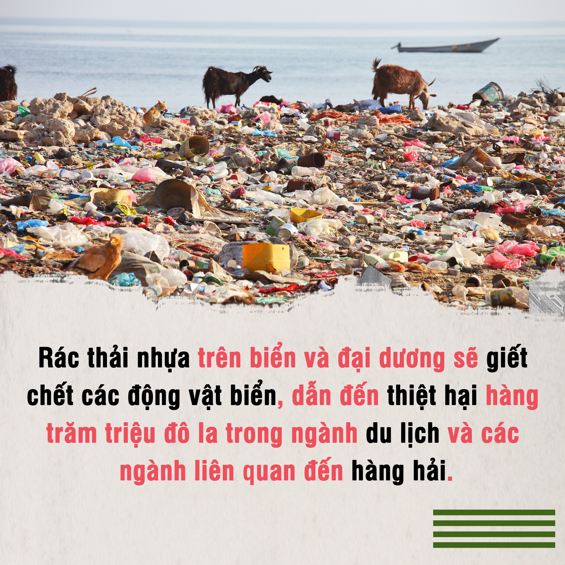 Cả thế giới chống lại rác thải nhựa - 5 Cả thế giới chống lại rác thải nhựa - 5