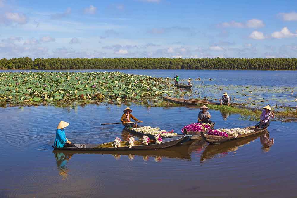Mùa hoa súng Mùa hoa súng