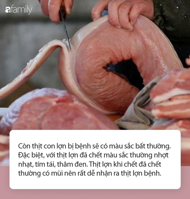 Thời điểm tiêu thụ thịt lợn 'nóng' nhất chưa tới nhưng đã có người suýt chết do liên cầu khuẩn: Chuyên gia lưu ý điều quan trọng khi chọn mua thịt lợn - 2 Thời điểm tiêu thụ thịt lợn 'nóng' nhất chưa tới nhưng đã có người suýt chết do liên cầu khuẩn: Chuyên gia lưu ý điều quan trọng khi chọn mua thịt lợn - 2