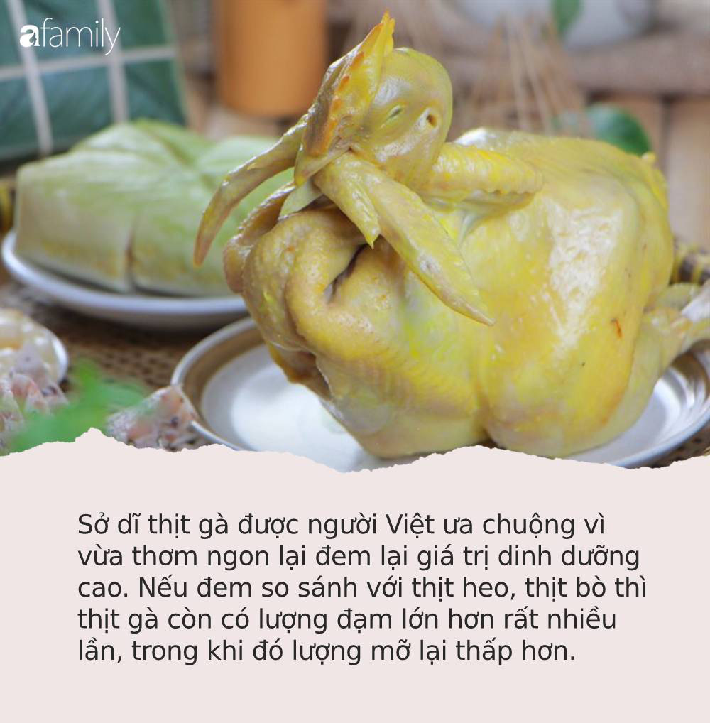 Những bệnh nào nên kiêng ăn thịt gà? Những bệnh nào nên kiêng ăn thịt gà?
