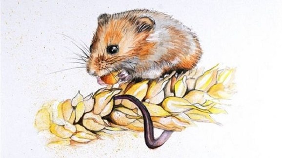 Tử vi ngày 17/11/2019 của 12 con giáp: Tý, Hợi hung cát đan xen, Mùi đề phòng thất thoát tiền bạc Tử vi ngày 17/11/2019 của 12 con giáp: Tý, Hợi hung cát đan xen, Mùi đề phòng thất thoát tiền bạc
