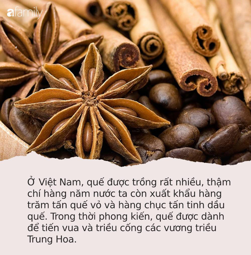 Loại gia vị được mệnh danh là TỨ BẢO của Đông y, trị bệnh hay dưỡng nhan đều xuất sắc Loại gia vị được mệnh danh là TỨ BẢO của Đông y, trị bệnh hay dưỡng nhan đều xuất sắc