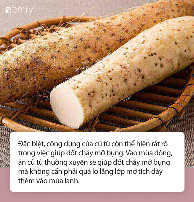 Loại củ trông xù xì xấu mã nhưng càng ăn càng đốt mỡ bụng cực tốt vào mùa lạnh và còn là thuốc quý trong Đông y - 1 Loại củ trông xù xì xấu mã nhưng càng ăn càng đốt mỡ bụng cực tốt vào mùa lạnh và còn là thuốc quý trong Đông y - 1