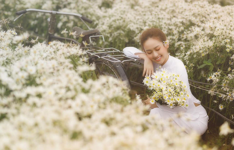Hà Nội đang vào mùa cúc họa mi, Thúy Vi cũng phải lặn lội 'Bắc tiến' để có được một bộ ảnh cho bằng bạn bằng bè - 2 Hà Nội đang vào mùa cúc họa mi, Thúy Vi cũng phải lặn lội 'Bắc tiến' để có được một bộ ảnh cho bằng bạn bằng bè - 2