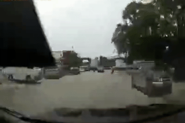 Video: Bị chó đuổi, người đàn ông lao vào ô tô còn kẻ 'gây họa' ung dung bỏ chạy Video: Bị chó đuổi, người đàn ông lao vào ô tô còn kẻ 'gây họa' ung dung bỏ chạy