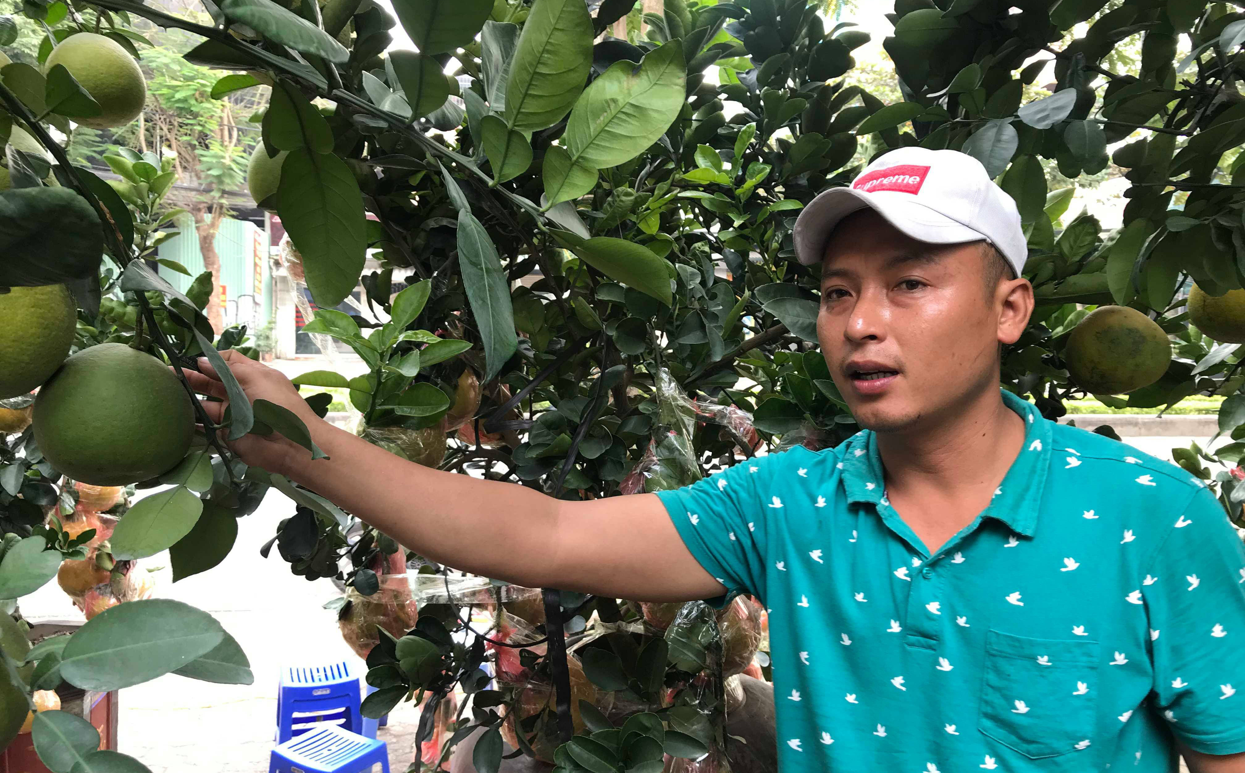 Khách đặt gần hết quất cảnh chơi Tết trước 2 tháng, chủ vườn nói bày ra phố cho vui Khách đặt gần hết quất cảnh chơi Tết trước 2 tháng, chủ vườn nói bày ra phố cho vui