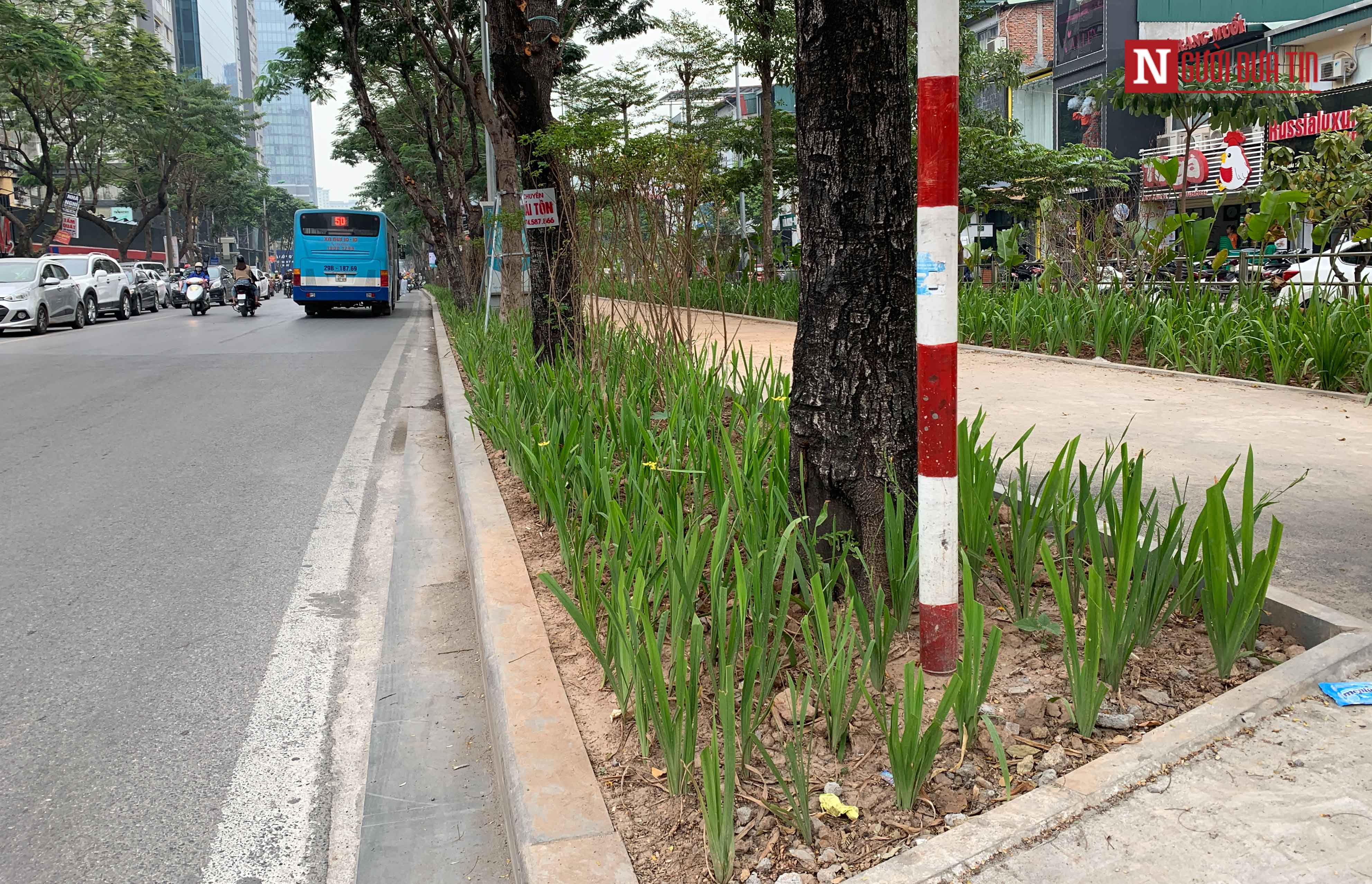 Chi 36 tỷ đồng 'thay áo mới' cho vỉa hè tuyến đường đông đúc bậc nhất Thủ đô - 14 Chi 36 tỷ đồng 'thay áo mới' cho vỉa hè tuyến đường đông đúc bậc nhất Thủ đô - 14