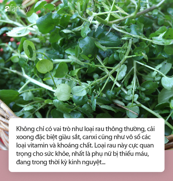 Mùa đông nhất định phải ăn cải xoong vì công dụng phòng chữa bệnh tuyệt đỉnh, phái đẹp càng không được bỏ qua - 1 Mùa đông nhất định phải ăn cải xoong vì công dụng phòng chữa bệnh tuyệt đỉnh, phái đẹp càng không được bỏ qua - 1