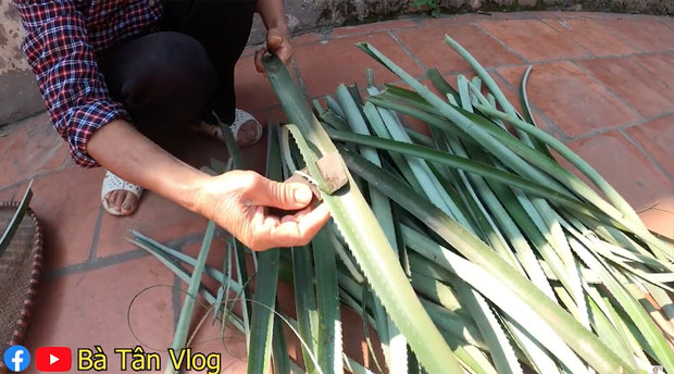 Mùa đông đã 'ập vào mặt' cả tuần nay, Sa Pa còn rơi cả tuyết mà bà Tân vẫn cần làm thạch lá dứa để...'ăn cho nó mát' - 1 Mùa đông đã 'ập vào mặt' cả tuần nay, Sa Pa còn rơi cả tuyết mà bà Tân vẫn cần làm thạch lá dứa để...'ăn cho nó mát' - 1