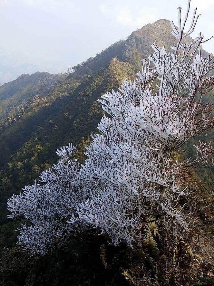 Băng giá, sương muối phủ trắng ở nhiều nơi, thung lũng Sủng Là (Hà Giang) xuống đến -1 độ C - 5 Băng giá, sương muối phủ trắng ở nhiều nơi, thung lũng Sủng Là (Hà Giang) xuống đến -1 độ C - 5