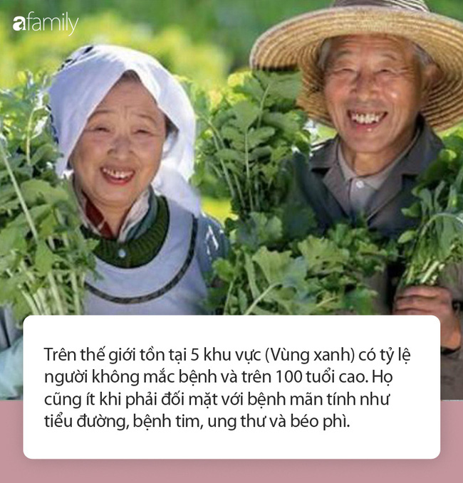 Nếu có thói quen ăn uống kiểu này chắc chắn bạn sẽ luôn tràn đầy năng lượng và sống thọ hơn Nếu có thói quen ăn uống kiểu này chắc chắn bạn sẽ luôn tràn đầy năng lượng và sống thọ hơn