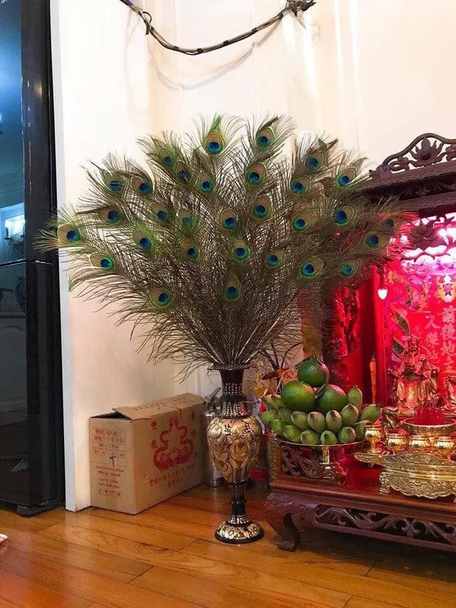 Lông công phong thủy bỗng trở thành trào lưu mua sắm dịp Tết - 6 Lông công phong thủy bỗng trở thành trào lưu mua sắm dịp Tết - 6