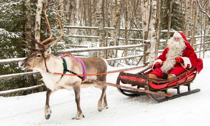 Tại sao ông già Noel dùng tuần lộc kéo xe mà không phải con vật khác? - 2 Tại sao ông già Noel dùng tuần lộc kéo xe mà không phải con vật khác? - 2