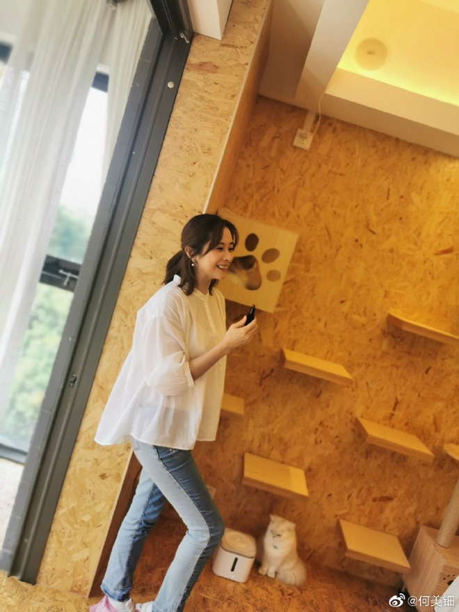 Cuộc sống của ni cô đẹp nhất 'Tiếu ngạo giang hồ': Tuổi 45 cô đơn, kín tiếng trong showbiz - 11 Cuộc sống của ni cô đẹp nhất 'Tiếu ngạo giang hồ': Tuổi 45 cô đơn, kín tiếng trong showbiz - 11