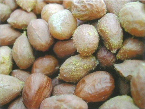 5 vật dụng tiềm ẩn nguy cơ gây ung thư 'khủng' nhất luôn có mặt trong bếp nhà bạn - 1 5 vật dụng tiềm ẩn nguy cơ gây ung thư 'khủng' nhất luôn có mặt trong bếp nhà bạn - 1