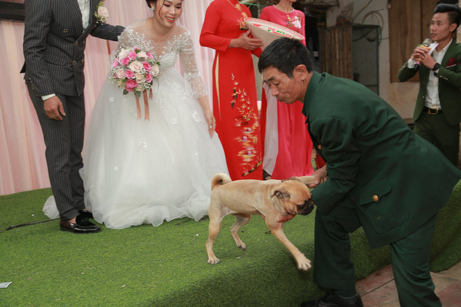 Bật cười vì biểu cảm thảng thốt của chú chó cưng khi bị bắt 'chia ly' với cô chủ trên sân khấu đám cưới - 1 Bật cười vì biểu cảm thảng thốt của chú chó cưng khi bị bắt 'chia ly' với cô chủ trên sân khấu đám cưới - 1