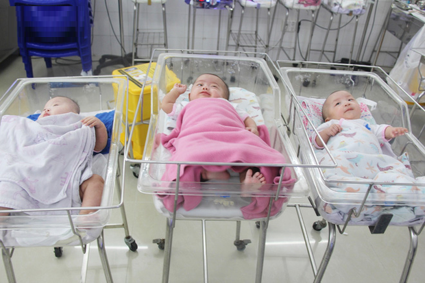 Xót xa cảnh 3 bé gái 4 tháng tuổi ở bệnh viện Từ Dũ phải chuyển đến nơi nuôi trẻ mồ côi trước Tết - 1 Xót xa cảnh 3 bé gái 4 tháng tuổi ở bệnh viện Từ Dũ phải chuyển đến nơi nuôi trẻ mồ côi trước Tết - 1