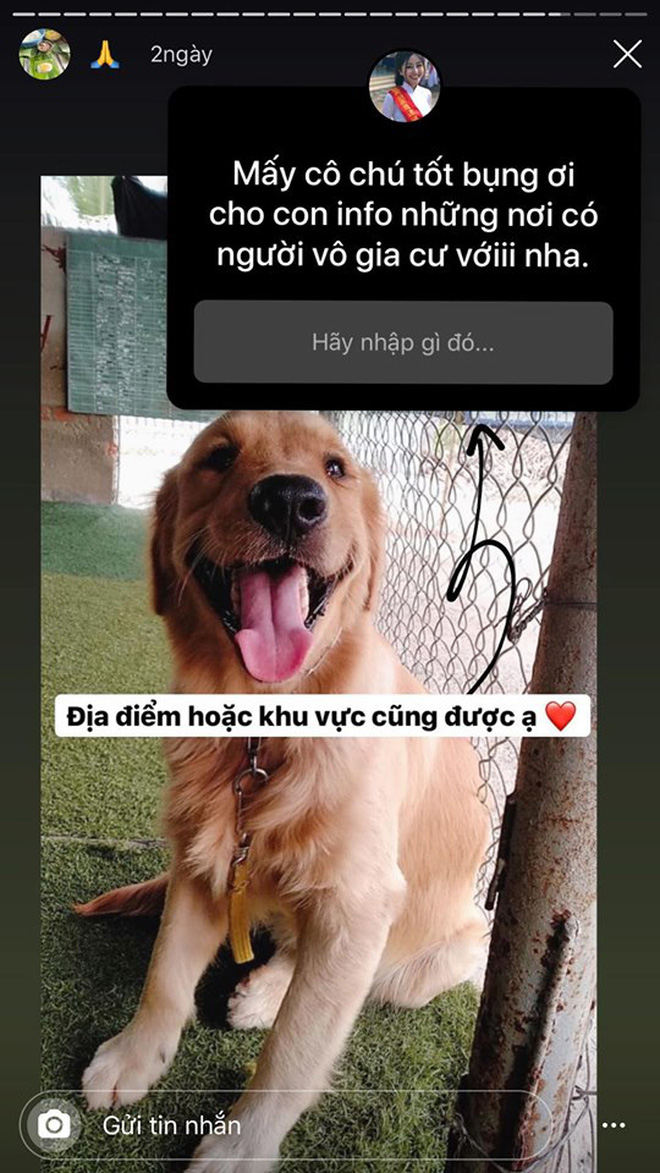 Hội gái xinh rục rịch đón Tết: Người không tiếc tay sắm đồng hồ mấy trăm triệu, người 'xui xẻo' phải nằm viện - 6 Hội gái xinh rục rịch đón Tết: Người không tiếc tay sắm đồng hồ mấy trăm triệu, người 'xui xẻo' phải nằm viện - 6