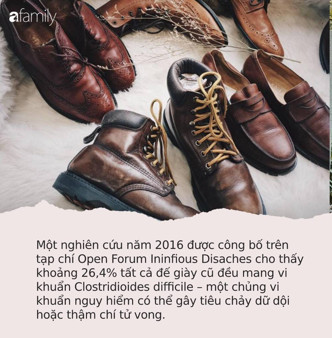 Dọn nhà sạch sẽ để đón năm mới, các gia đình cần ném bỏ ngay những thứ mệnh danh là 'ổ vi khuẩn' này - 3 Dọn nhà sạch sẽ để đón năm mới, các gia đình cần ném bỏ ngay những thứ mệnh danh là 'ổ vi khuẩn' này - 3