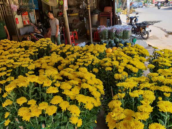 Chồng đột quỵ rồi ra đi trong lúc bán hoa ngày Tết, vợ cùng các con vội về đưa tang, bỏ lại hơn 700 chậu hoa và 3 tấn dưa chưa kịp bán - 1 Chồng đột quỵ rồi ra đi trong lúc bán hoa ngày Tết, vợ cùng các con vội về đưa tang, bỏ lại hơn 700 chậu hoa và 3 tấn dưa chưa kịp bán - 1