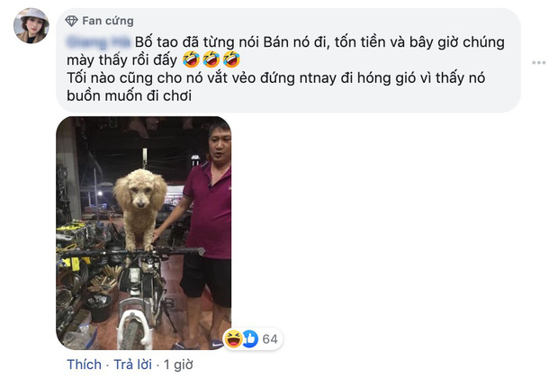 Hội con ruột háo hức về quê ăn Tết thi nhau than trời vì bố mẹ quá đam mê đám boss nhiều lông: Chẳng biết ai mới là con đẻ của bố mẹ đây! - 1 Hội con ruột háo hức về quê ăn Tết thi nhau than trời vì bố mẹ quá đam mê đám boss nhiều lông: Chẳng biết ai mới là con đẻ của bố mẹ đây! - 1