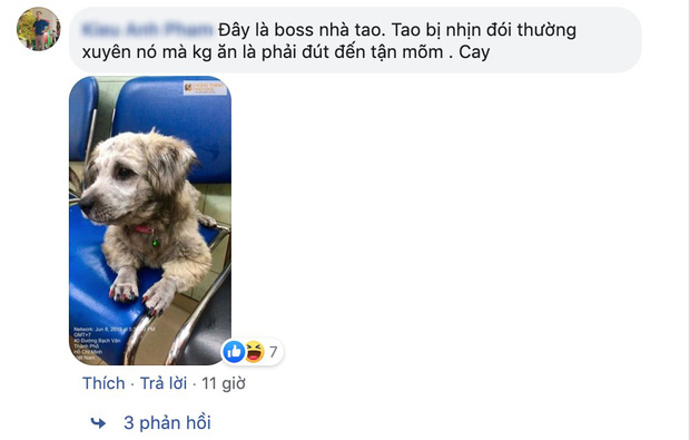Hội con ruột háo hức về quê ăn Tết thi nhau than trời vì bố mẹ quá đam mê đám boss nhiều lông: Chẳng biết ai mới là con đẻ của bố mẹ đây! - 4 Hội con ruột háo hức về quê ăn Tết thi nhau than trời vì bố mẹ quá đam mê đám boss nhiều lông: Chẳng biết ai mới là con đẻ của bố mẹ đây! - 4