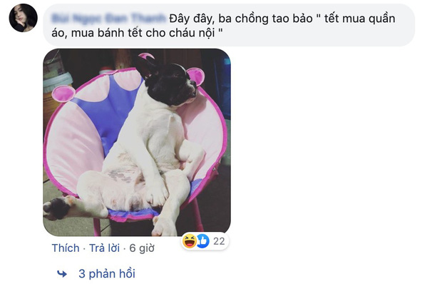Hội con ruột háo hức về quê ăn Tết thi nhau than trời vì bố mẹ quá đam mê đám boss nhiều lông: Chẳng biết ai mới là con đẻ của bố mẹ đây! - 5 Hội con ruột háo hức về quê ăn Tết thi nhau than trời vì bố mẹ quá đam mê đám boss nhiều lông: Chẳng biết ai mới là con đẻ của bố mẹ đây! - 5