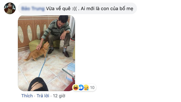 Hội con ruột háo hức về quê ăn Tết thi nhau than trời vì bố mẹ quá đam mê đám boss nhiều lông: Chẳng biết ai mới là con đẻ của bố mẹ đây! - 8 Hội con ruột háo hức về quê ăn Tết thi nhau than trời vì bố mẹ quá đam mê đám boss nhiều lông: Chẳng biết ai mới là con đẻ của bố mẹ đây! - 8