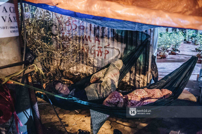 Những người nông dân chong lều canh đào, quất giữa cái lạnh 14 độ C của Hà Nội: 'Như đánh một canh bạc, bại nhiều hơn thắng' - 15 Những người nông dân chong lều canh đào, quất giữa cái lạnh 14 độ C của Hà Nội: 'Như đánh một canh bạc, bại nhiều hơn thắng' - 15