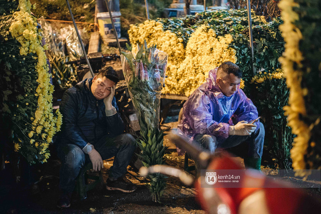 Những người nông dân chong lều canh đào, quất giữa cái lạnh 14 độ C của Hà Nội: 'Như đánh một canh bạc, bại nhiều hơn thắng' - 9 Những người nông dân chong lều canh đào, quất giữa cái lạnh 14 độ C của Hà Nội: 'Như đánh một canh bạc, bại nhiều hơn thắng' - 9